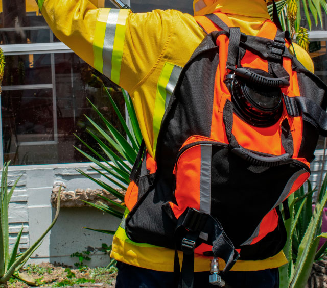 Campana Colombia Febrero 2