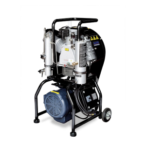 COMPRESOR VERTICAL W31 MARINER