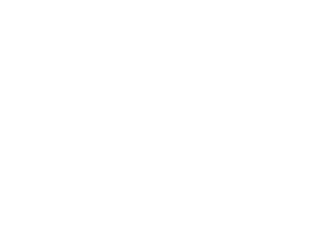 logo servicio holmatro perú