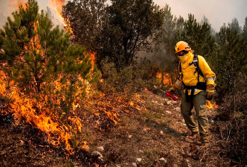 Incêndios florestais e como combatê-los