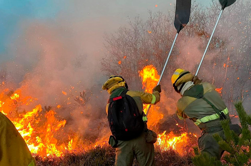 Retiran un vigilabebés por riesgo de sobrecalentamiento e incendio