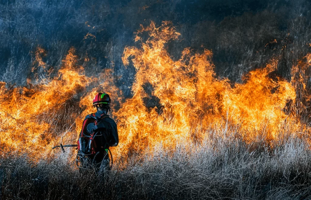 6 consejos para prevenir los incendios forestales