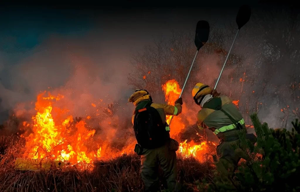 Bolivia Tipos de batefuegos para combatir la temporada de incendios