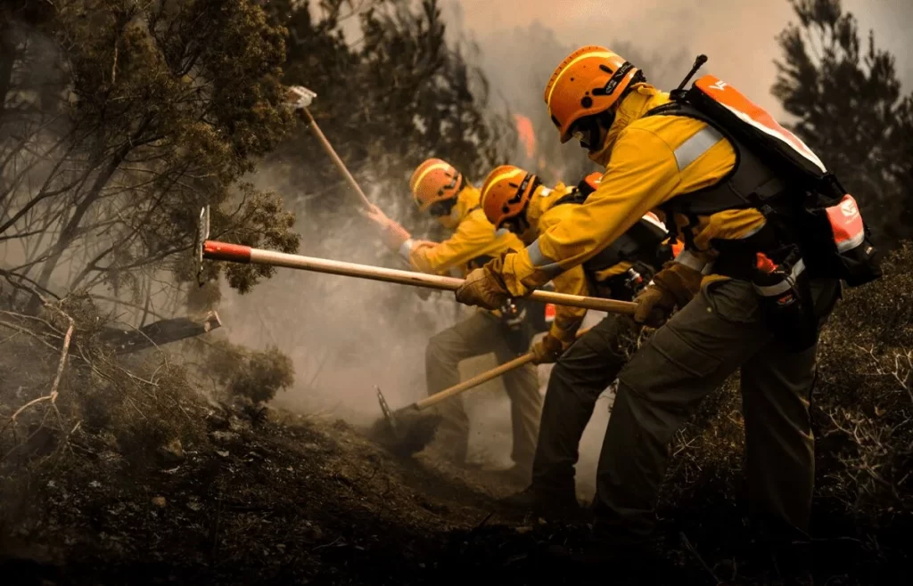 7 Consecuencias de los Incendios Forestales