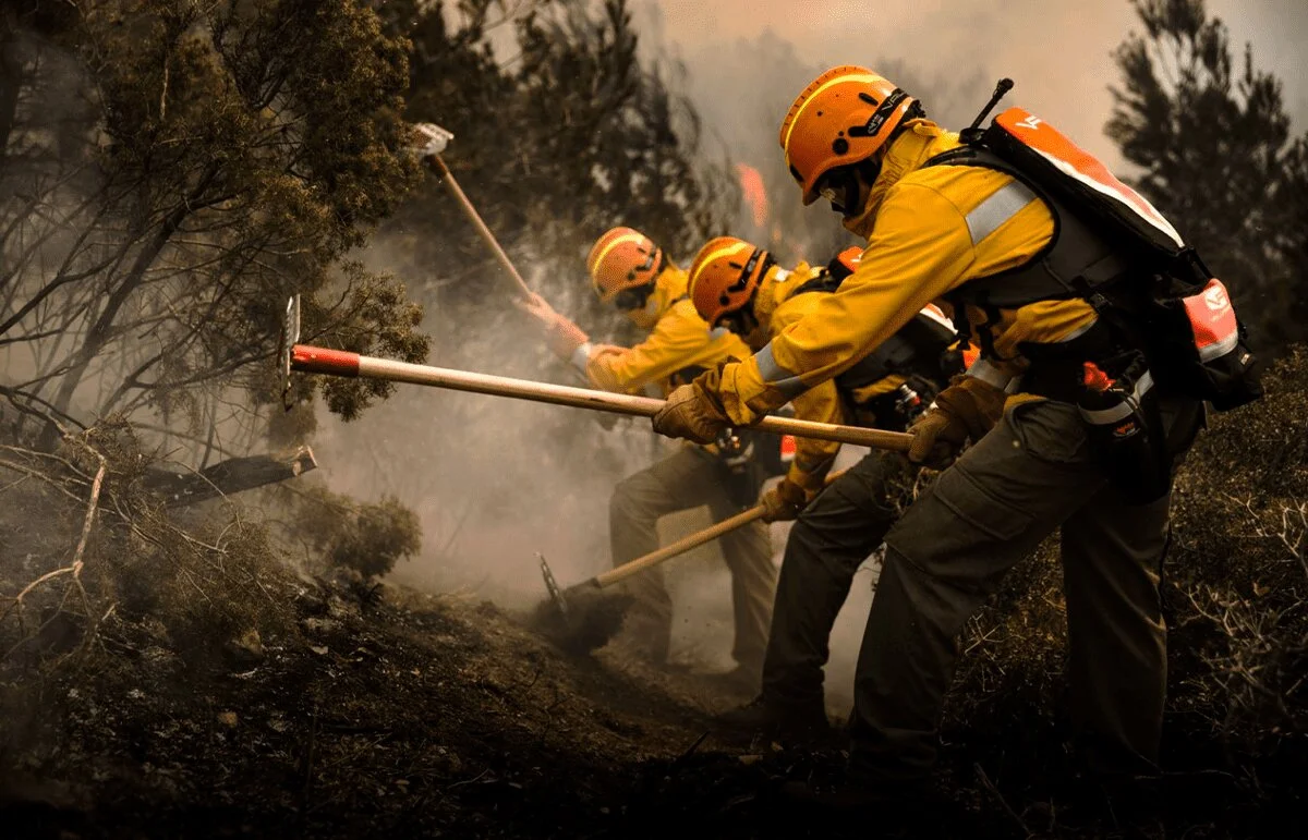 7 Consecuencias de los Incendios Forestales