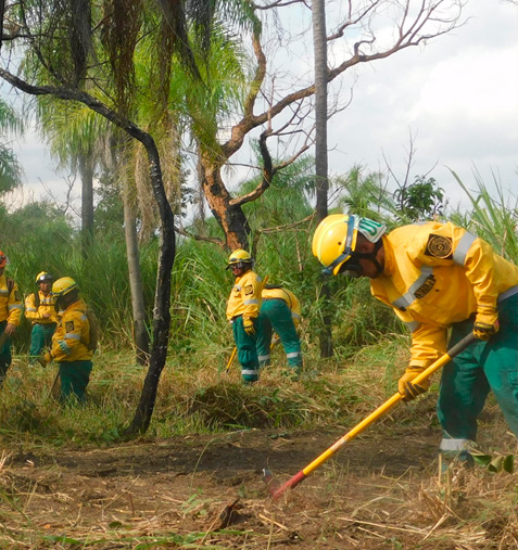 Conciencia Global revista Konecta KPN1