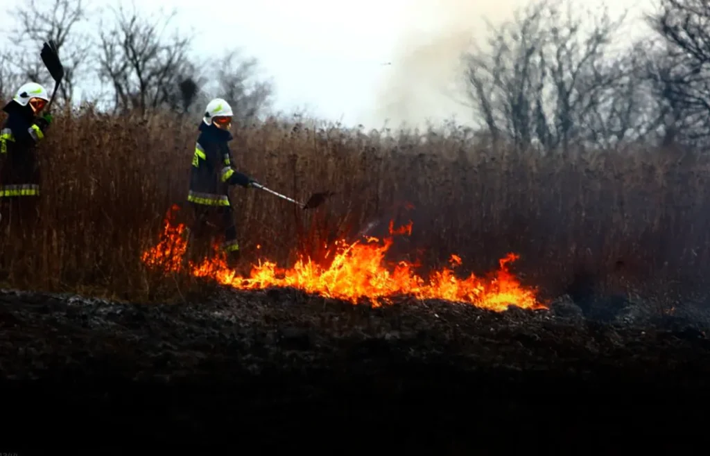 ¿Qué es una línea de defensa en incendios forestales?