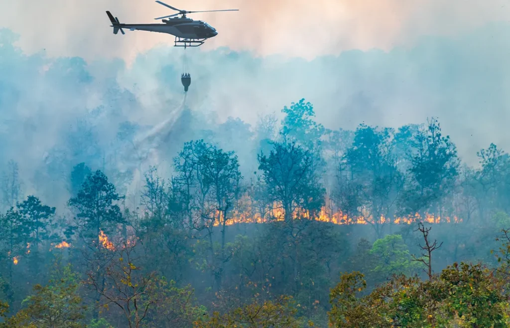 Lucha contra incendios transfronterizos desafíos entre Bolivia, Brasil y Paraguay