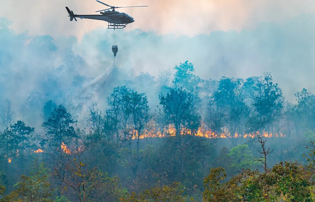 Lucha contra incendios transfronterizos desafíos entre Bolivia, Brasil y Paraguay