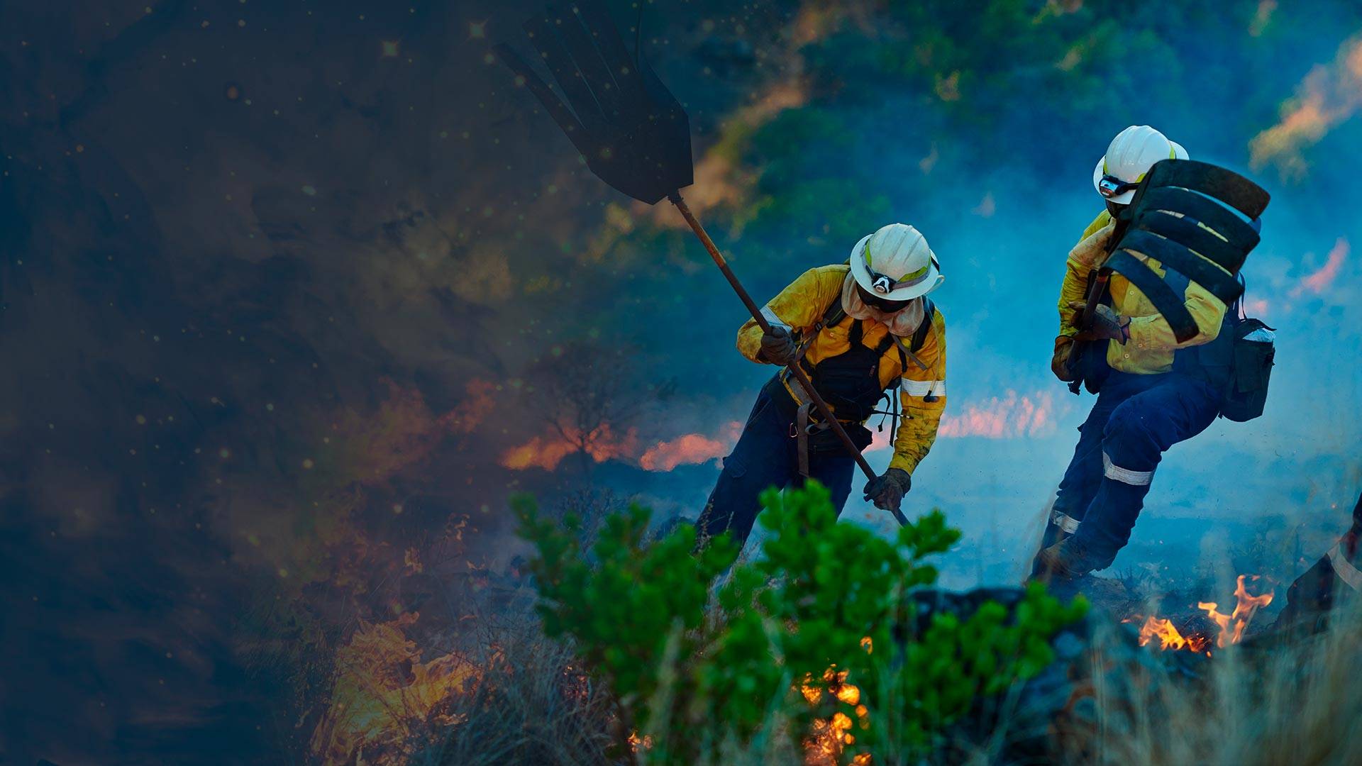 Banner web KPNB Safety equipos para incendios forestales
